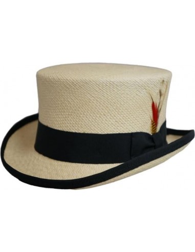 Capas Genuine Panama Top Hat france