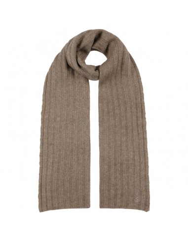 Yescott Sustainable Cashmere Scarf by Stetson la colonne vertébrale